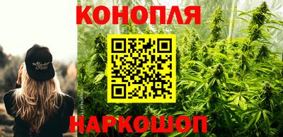 прущая мука Кингисепп