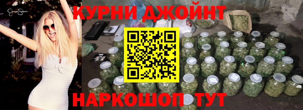 Бошки Шишки марихуана Кострома
